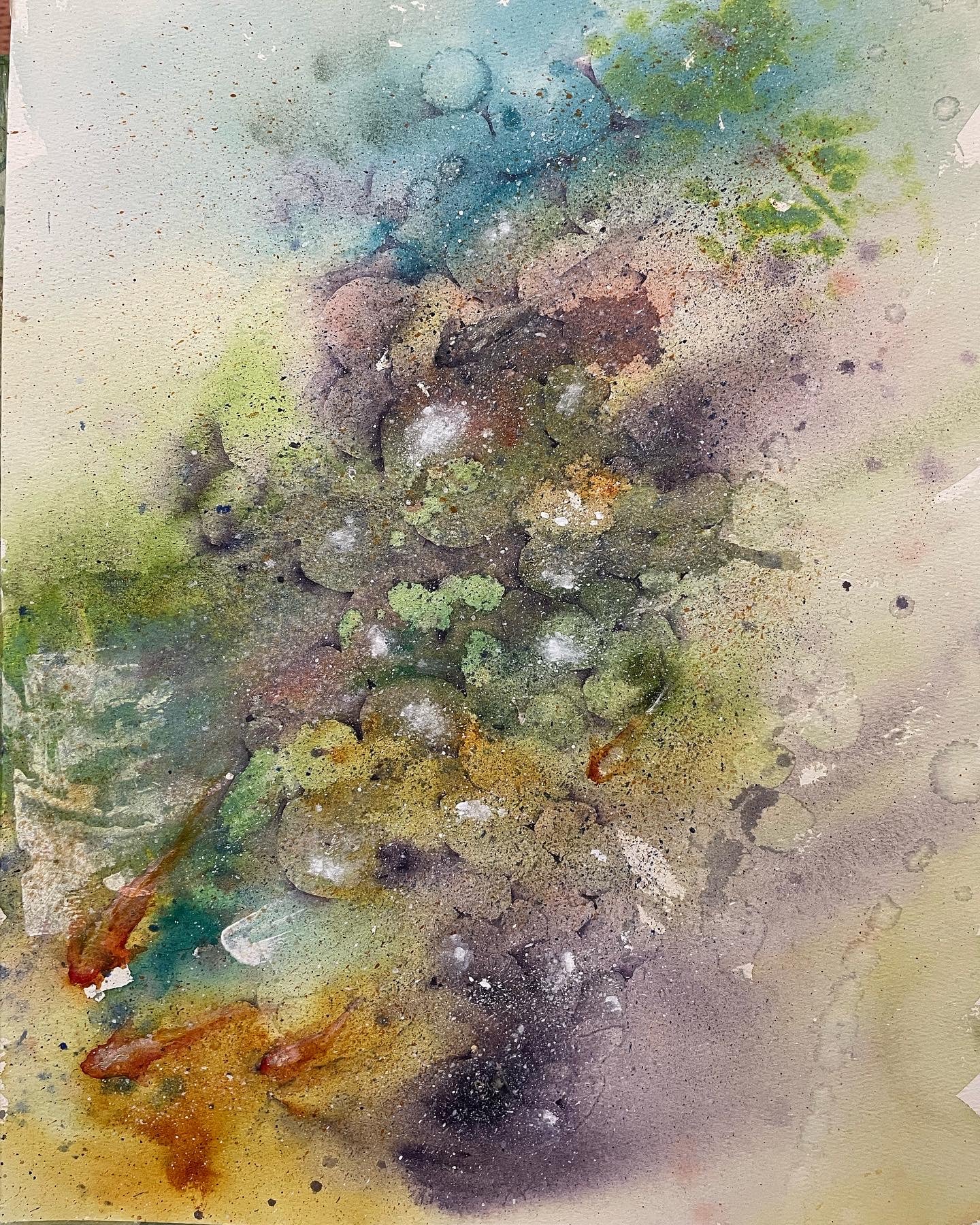 Fishes and river pebbles